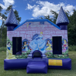 #46 Disney Princess Bounce House