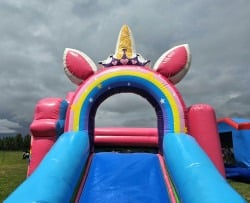 20230701 152504 1688759507 #054 Fun Size Unicorn