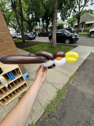 20230728 121253 1691015785 Balloon Animals