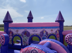 IMG 0033 1639806660 #22 Disney Princess Junior Combo