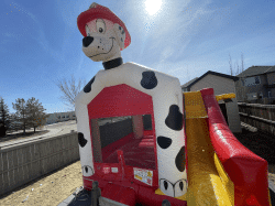 IMG 3131 1649389951 #56 Dalmatian 5 in 1