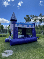 IMG 6717 1643179188 big 1648128254 #46 Disney Princess Bounce House