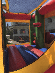 Photo202018 06 1720122029200820PM 1639775615 big 1648130009 #08 Tropical Island Large combo