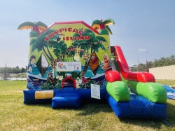 #08 Tropical Island Large combo