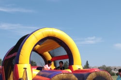 IMG 2826 1771364833 #44 Ninja Obstacle Course